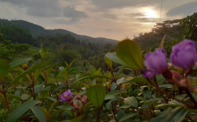 Lote de terreno en venta Yakkalamulla, Galle. Foto#16
