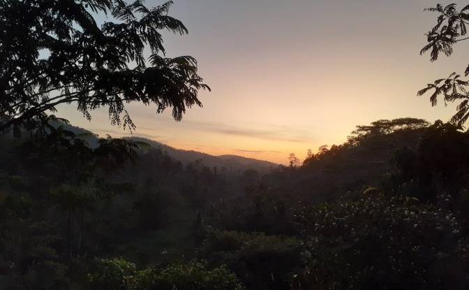 Lote de terreno en venta Yakkalamulla, Galle. Foto#17