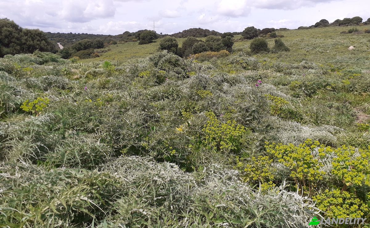 Land Lot for Sale Via Sin Nombre, San Roque, Cadiz, Andalusia, Spain. Photo 3