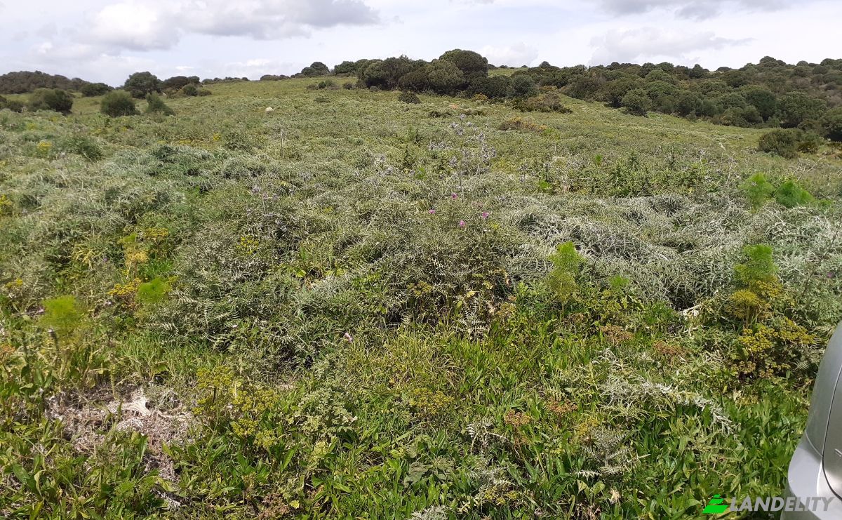Land Lot for Sale Via Sin Nombre, San Roque, Cadiz, Andalusia, Spain. Photo 5