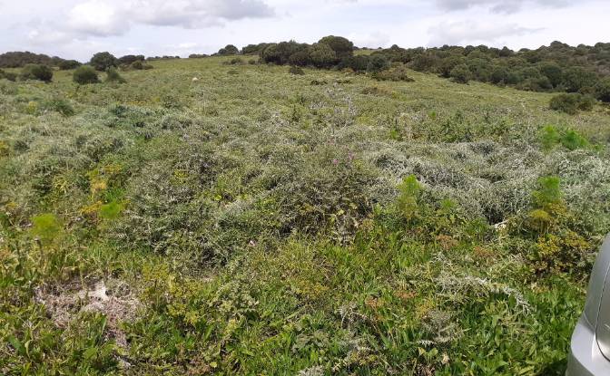 Land Lot for Sale Via Sin Nombre, San Roque, Cadiz. Photo#5 Land Lot for Sale Via Sin Nombre, San Roque, Cadiz. Photo#5