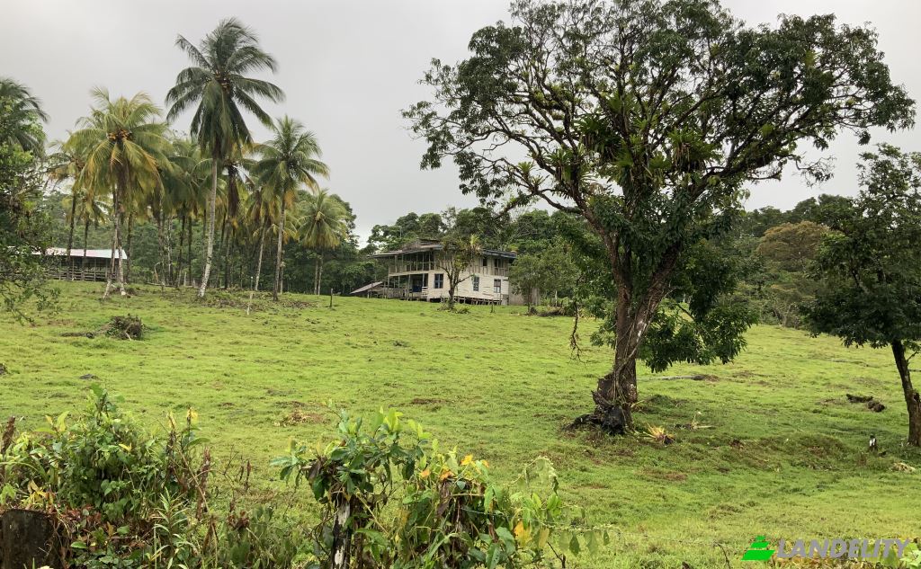 Land Lot for Sale San Luis, Provincia de Alajuela, Alajuela Province, Costa Rica. Photo 1