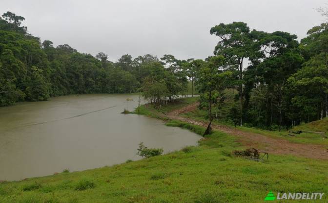 Land Lot for Sale San Luis, Provincia de Alajuela. Photo#2 Land Lot for Sale San Luis, Provincia de Alajuela. Photo#2