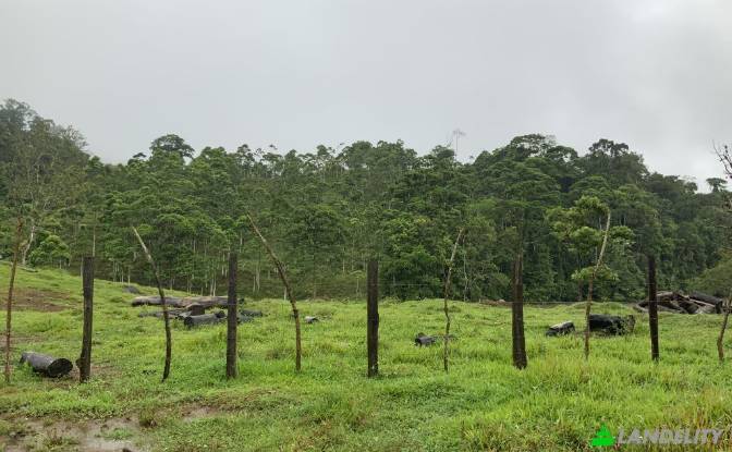 Land Lot for Sale San Luis, Provincia de Alajuela. Photo#3 Land Lot for Sale San Luis, Provincia de Alajuela. Photo#3
