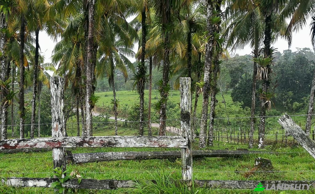 Land Lot for Sale San Luis, Provincia de Alajuela, Alajuela Province, Costa Rica. Photo 4