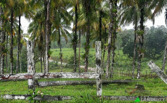 Land Lot for Sale San Luis, Provincia de Alajuela. Photo#4 Land Lot for Sale San Luis, Provincia de Alajuela. Photo#4