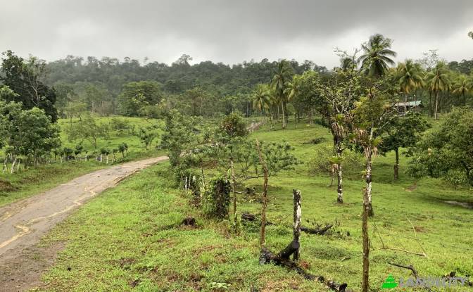 Land Lot for Sale San Luis, Provincia de Alajuela. Photo#5 Land Lot for Sale San Luis, Provincia de Alajuela. Photo#5