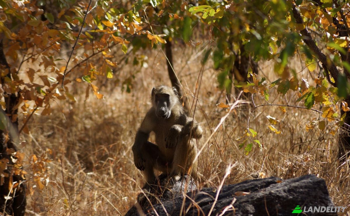 Bed and Breakfast for Sale 847 Mica Dr, Kariba, Mashonaland West Province, Zimbabwe. Photo 9