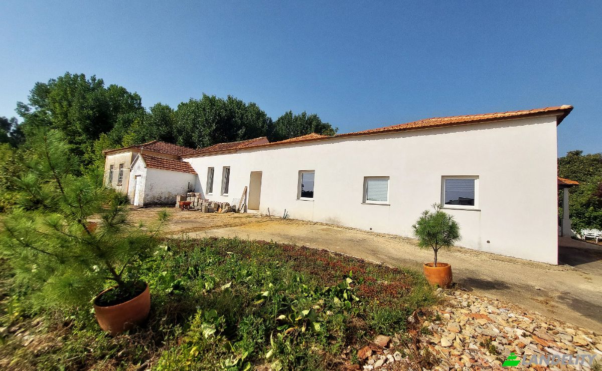 Casa unifamiliar à venda Rua do Seixo 417, 3750-068, Vale do Grou, Águeda, Aveiro, Portugal. foto 13