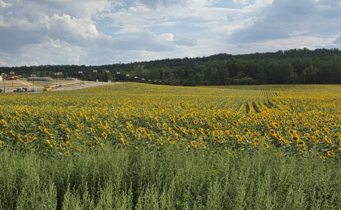 Land Lot for Sale - Isaszeg, Hungary