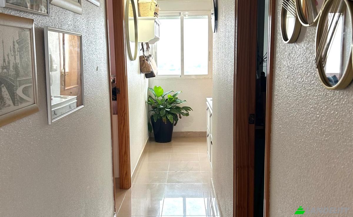 Apartment for Sale C Maestro Joaquin Cartagena Aldeguer, Guardamar del Segura, Alicante, Valencian Community, Spain. Photo 14