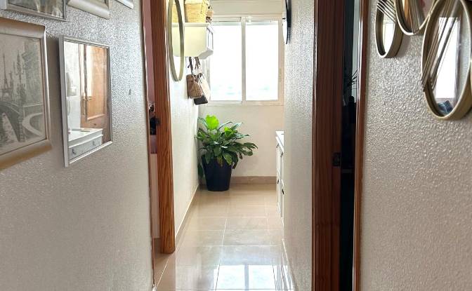 Apartment for Sale C Maestro Joaquin Cartagena. Photo#14
