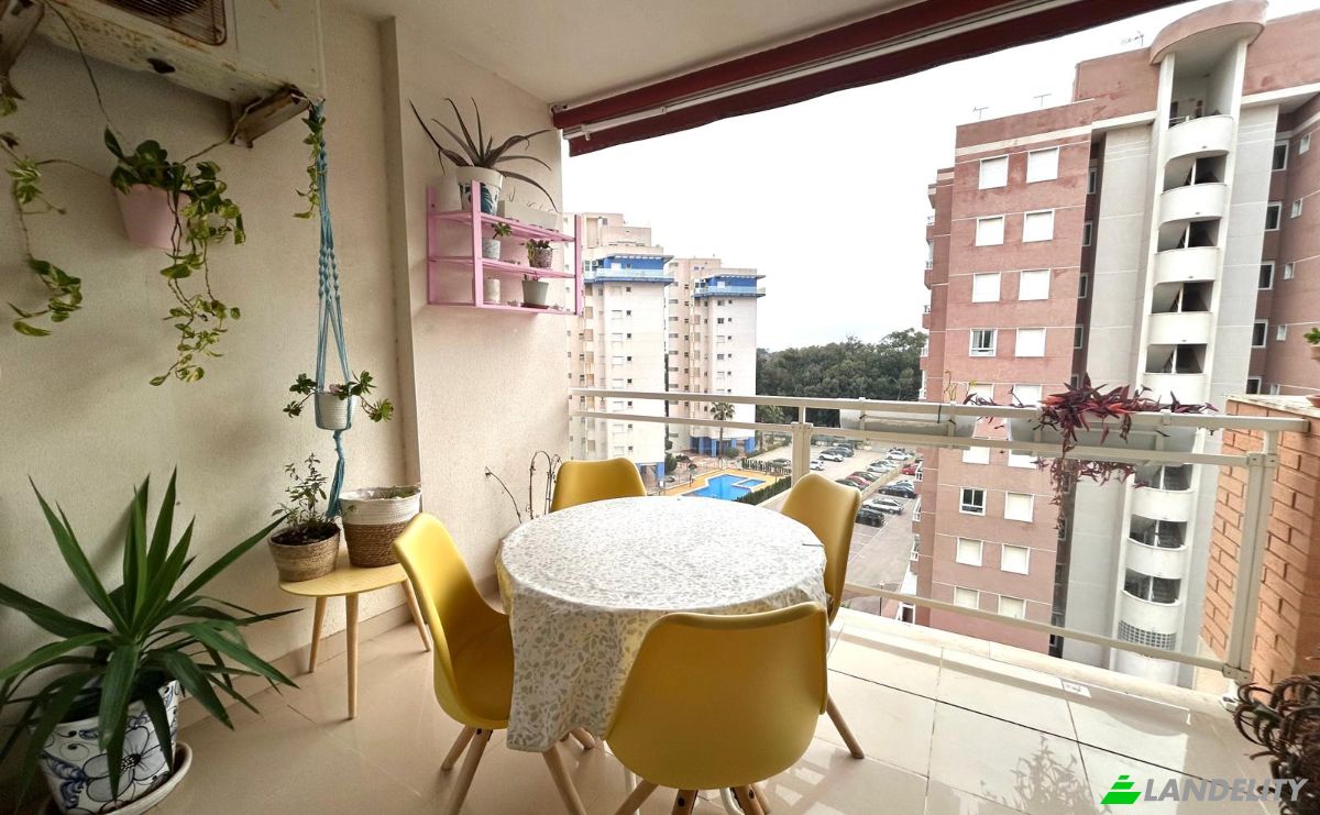 Apartment for Sale C Maestro Joaquin Cartagena Aldeguer, Guardamar del Segura, Alicante, Valencian Community, Spain. Photo 21