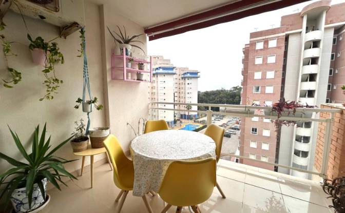 Apartment for Sale C Maestro Joaquin Cartagena. Photo#21