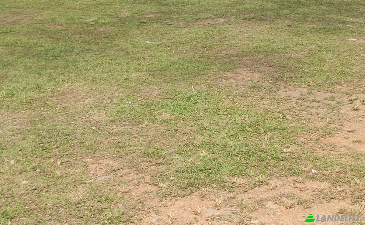 Geschäft zu verkaufen Limon, Limon Province, Costa Rica, Vesta, Llano Grande. Foto 7