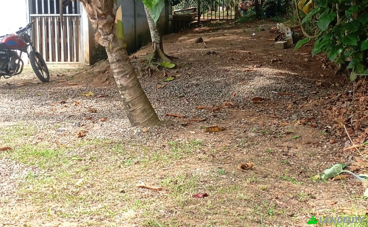 Geschäft zu verkaufen Limon, Limon Province, Costa Rica, Vesta, Llano Grande. Foto 8