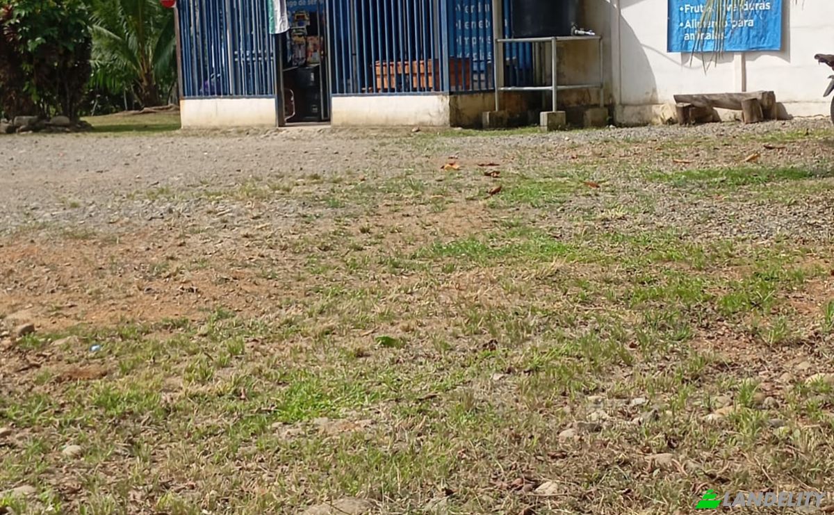 Geschäft zu verkaufen Limon, Limon Province, Costa Rica, Vesta, Llano Grande. Foto 10