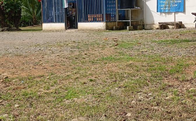 Geschäft zu verkaufen Limon, Limon Province. Foto#10