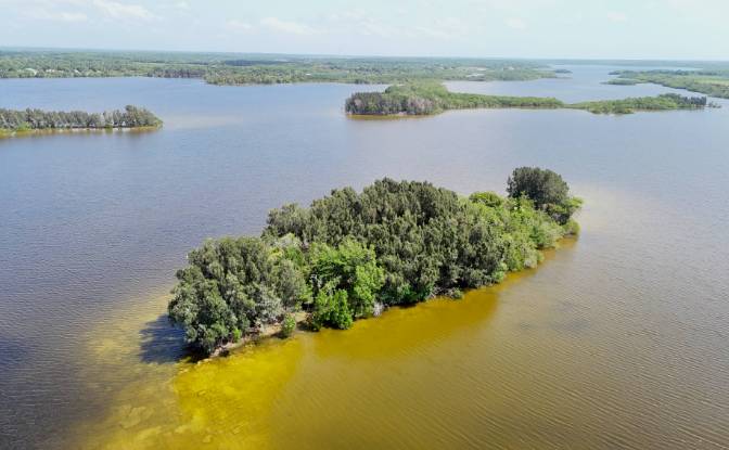 Investing/Development for Sale - Progresso, Belize