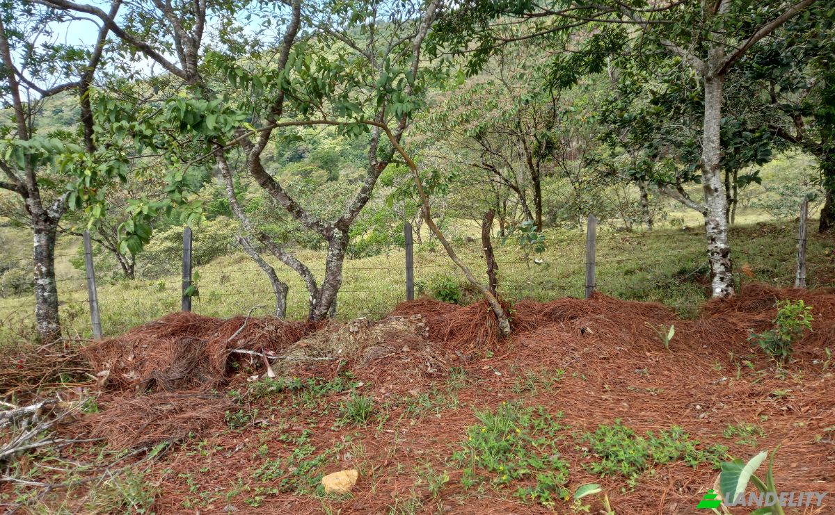 Investing/Development for Sale Desde Alto Boquete a la Estrella 50-65, Alto Boquete, Boquete District, Chiriqui Province, Panama, Provincia de Chiriqui. Photo 1