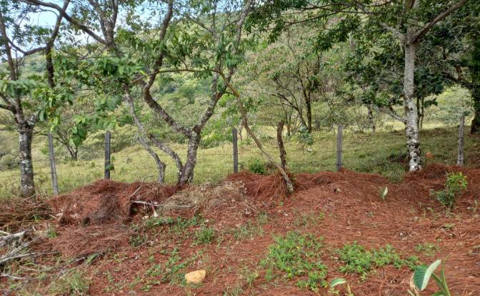 Investing/Development for Sale - Alto Boquete, Panama