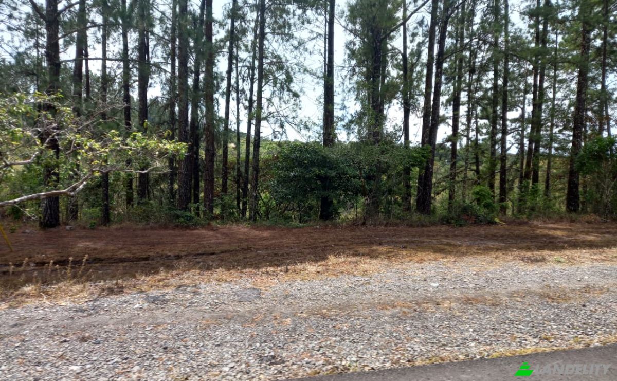 Investing/Development for Sale Desde Alto Boquete a la Estrella 50-65, Alto Boquete, Boquete District, Chiriqui Province, Panama, Provincia de Chiriqui. Photo 4
