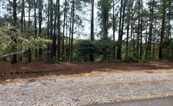 Investing/Development for Sale Desde Alto Boquete. Photo#4 Investing/Development for Sale Desde Alto Boquete. Photo#4