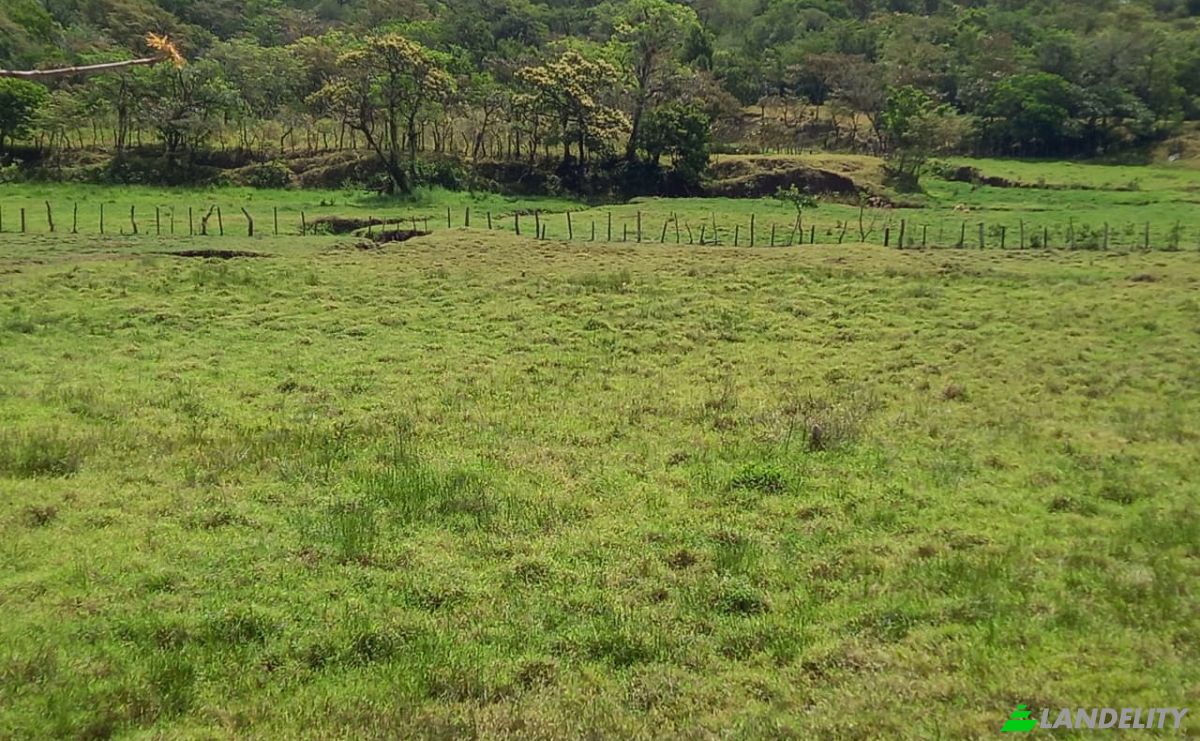 Investing/Development for Sale Desde Alto Boquete a la Estrella 50-65, Alto Boquete, Boquete District, Chiriqui Province, Panama, Provincia de Chiriqui. Photo 6