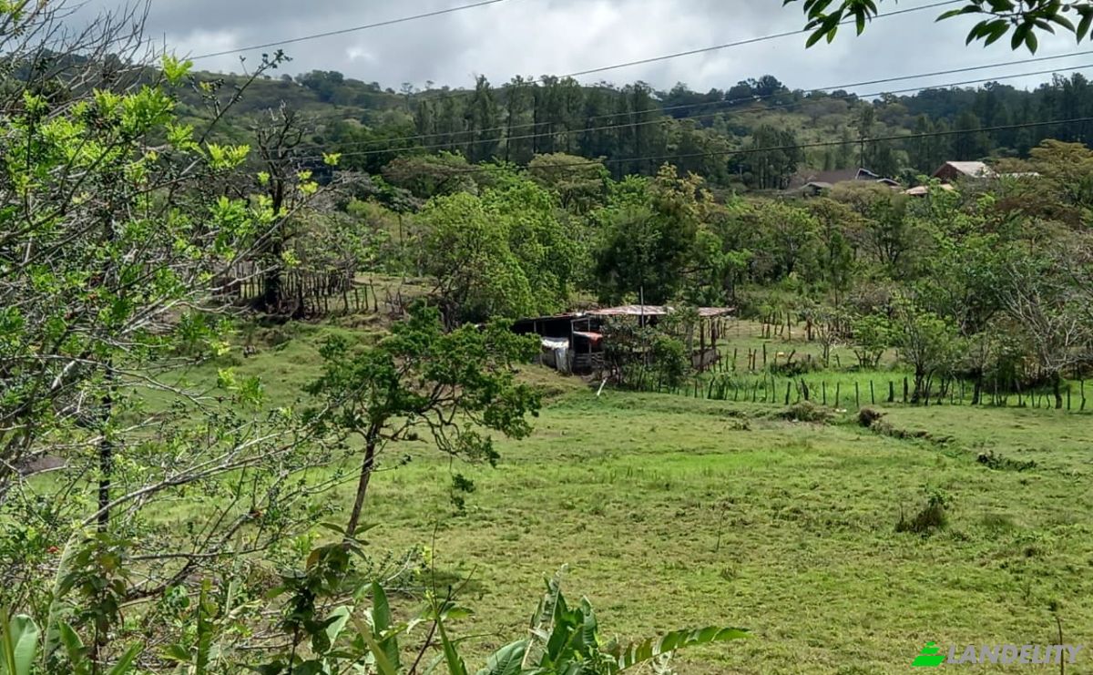Investing/Development for Sale Desde Alto Boquete a la Estrella 50-65, Alto Boquete, Boquete District, Chiriqui Province, Panama, Provincia de Chiriqui. Photo 7