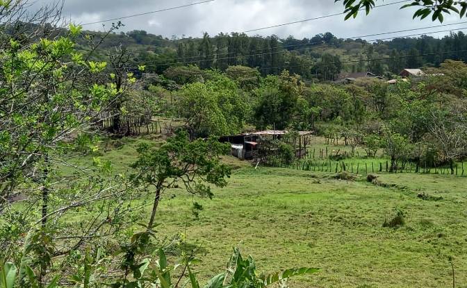 Investing/Development for Sale Desde Alto Boquete. Photo#7 Investing/Development for Sale Desde Alto Boquete. Photo#7