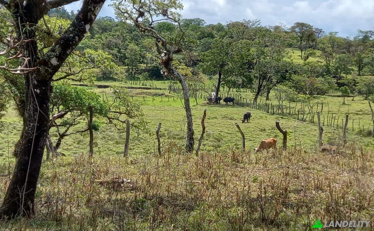 Investing/Development for Sale Desde Alto Boquete a la Estrella 50-65, Alto Boquete, Boquete District, Chiriqui Province, Panama, Provincia de Chiriqui. Photo 8