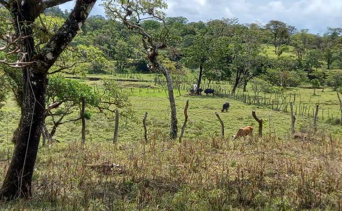 Investing/Development for Sale Desde Alto Boquete. Photo#8 Investing/Development for Sale Desde Alto Boquete. Photo#8