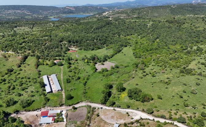 Investing/Development for Sale 17862 Ahmetce. Photo#10