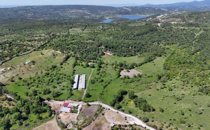 Investing/Development for Sale 17862 Ahmetce. Photo#11