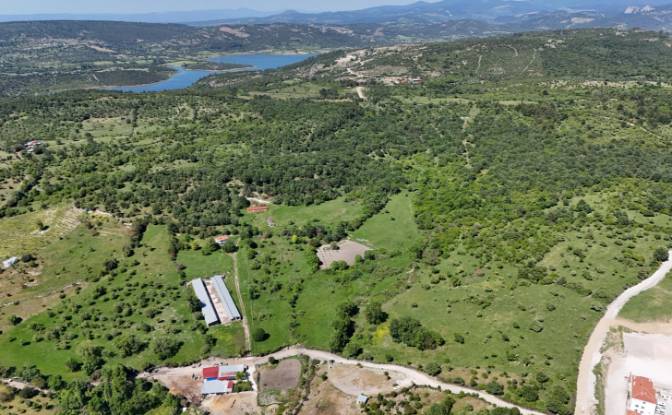 Investing/Development for Sale 17862 Ahmetce. Photo#12