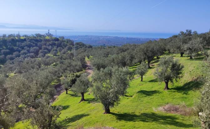 Investing/Development for Sale - Edremit Balikesir, Turkiye