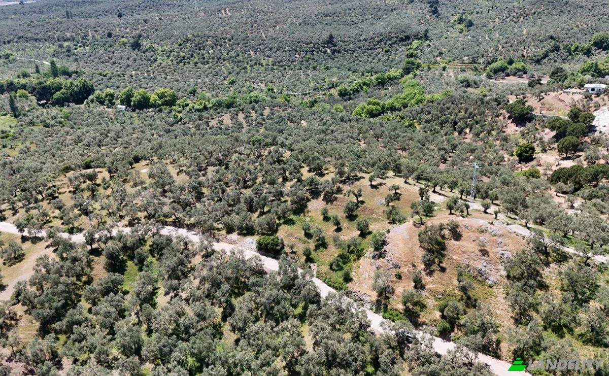 Investition/Entwicklung zu verkaufen Kavlaklar, Isimsiz Yol, 10395 Edremit Balikesir, Edremit Balikesir, Edremit, Balikesir, Turkiye. Foto 12