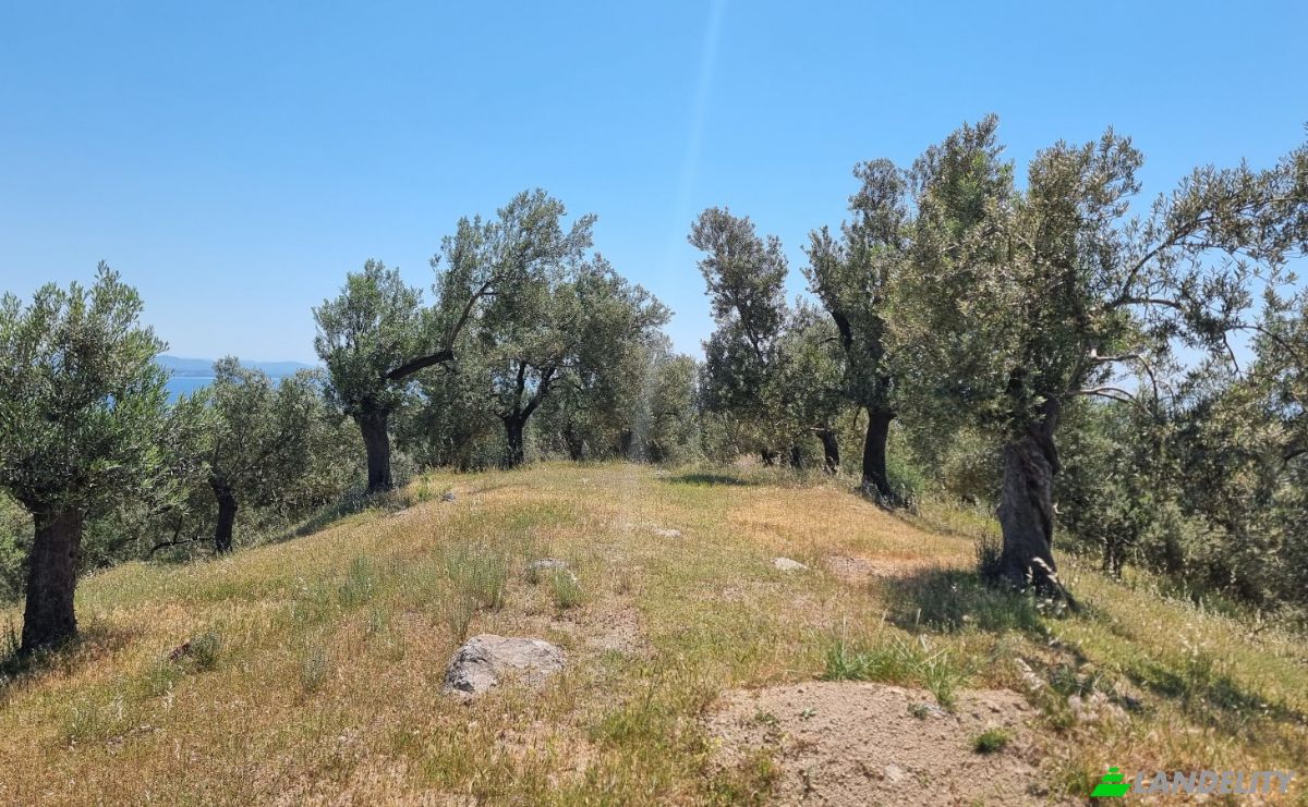 Investition/Entwicklung zu verkaufen Kavlaklar, Isimsiz Yol, 10395 Edremit Balikesir, Edremit Balikesir, Edremit, Balikesir, Turkiye. Foto 13