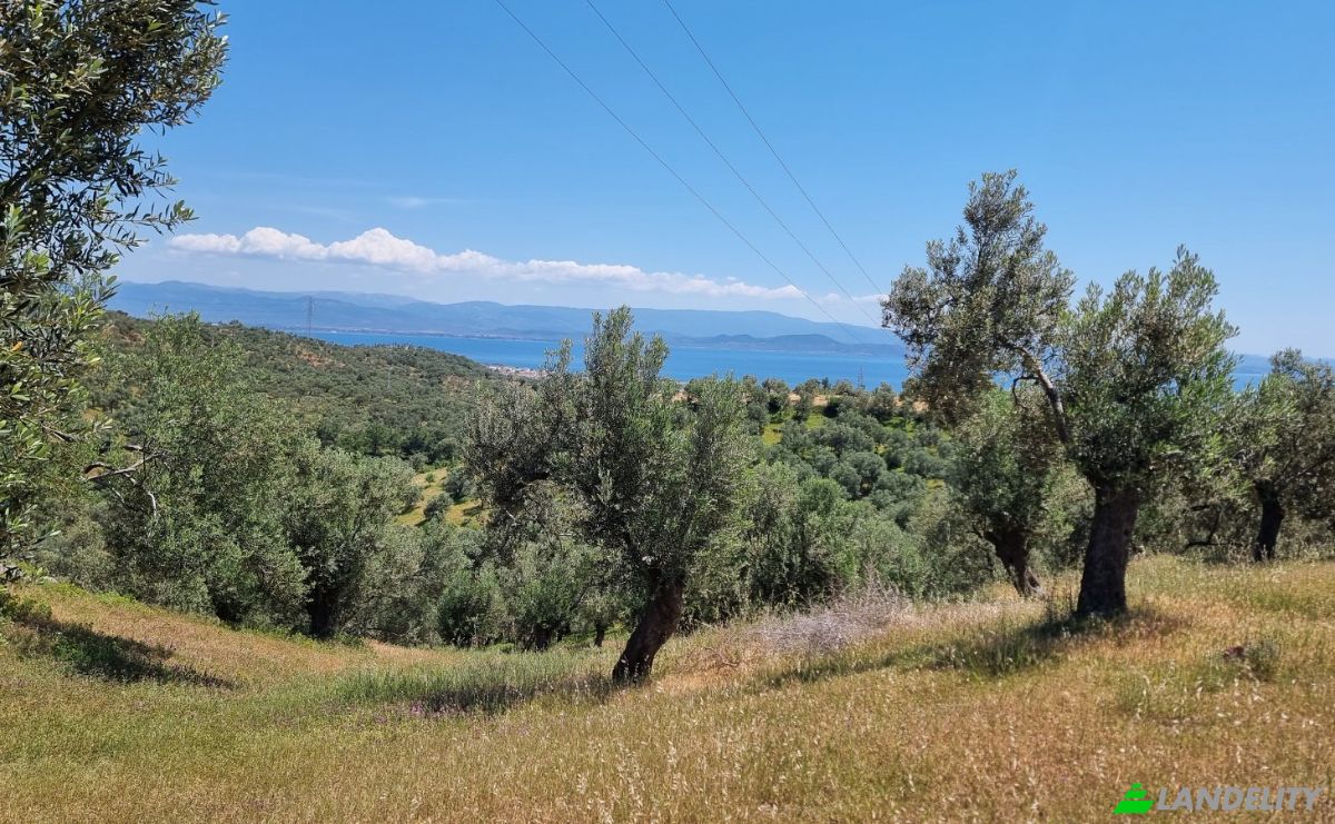 Investition/Entwicklung zu verkaufen Kavlaklar, Isimsiz Yol, 10395 Edremit Balikesir, Edremit Balikesir, Edremit, Balikesir, Turkiye. Foto 14