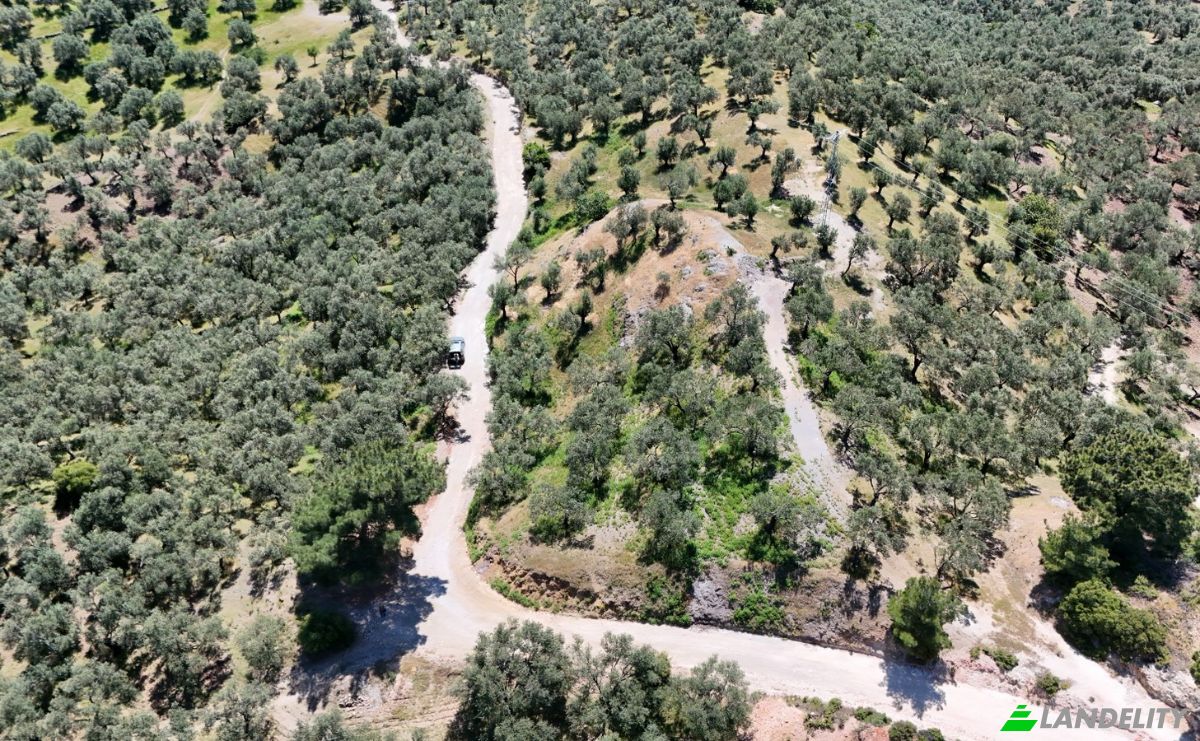 Investition/Entwicklung zu verkaufen Kavlaklar, Isimsiz Yol, 10395 Edremit Balikesir, Edremit Balikesir, Edremit, Balikesir, Turkiye. Foto 15
