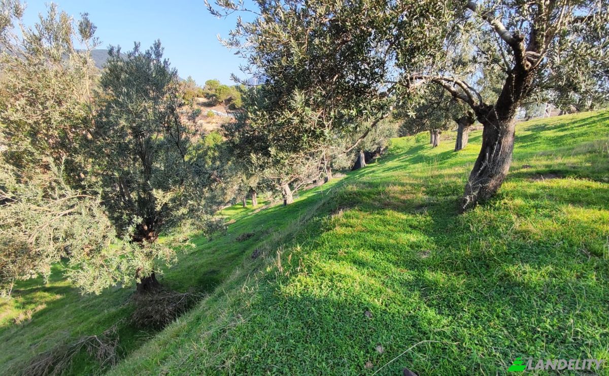 Investition/Entwicklung zu verkaufen Kavlaklar, Isimsiz Yol, 10395 Edremit Balikesir, Edremit Balikesir, Edremit, Balikesir, Turkiye. Foto 2