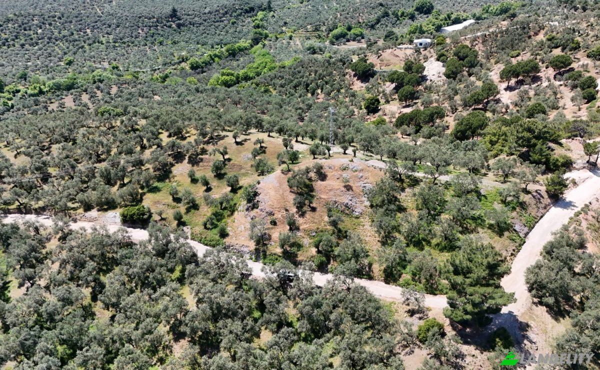 Investition/Entwicklung zu verkaufen Kavlaklar, Isimsiz Yol, 10395 Edremit Balikesir, Edremit Balikesir, Edremit, Balikesir, Turkiye. Foto 20