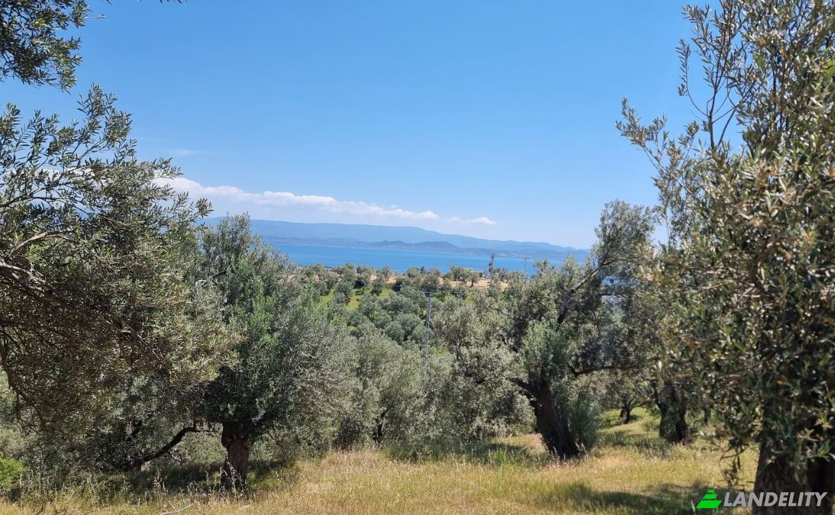 Investition/Entwicklung zu verkaufen Kavlaklar, Isimsiz Yol, 10395 Edremit Balikesir, Edremit Balikesir, Edremit, Balikesir, Turkiye. Foto 21