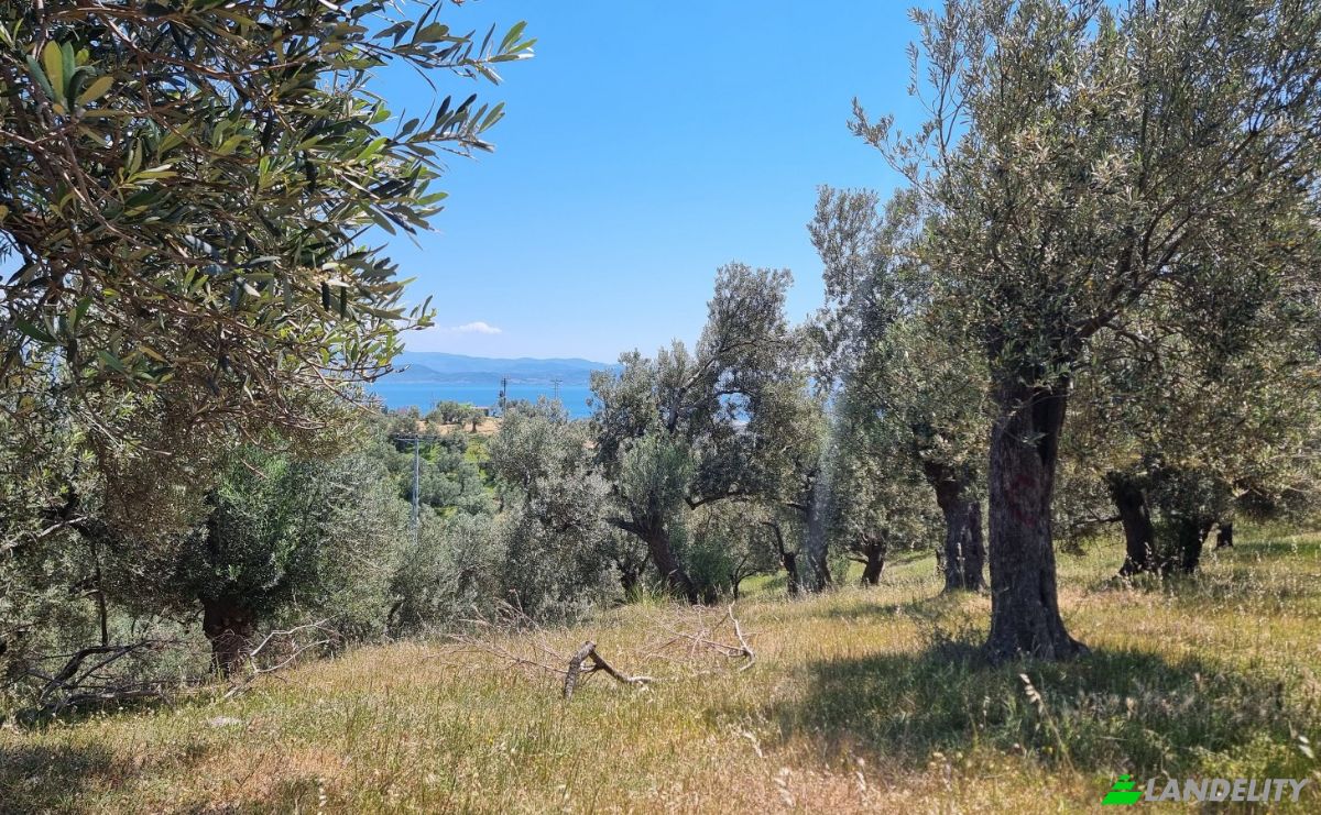 Investition/Entwicklung zu verkaufen Kavlaklar, Isimsiz Yol, 10395 Edremit Balikesir, Edremit Balikesir, Edremit, Balikesir, Turkiye. Foto 24