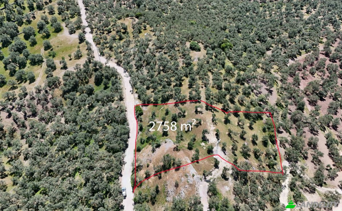 Investition/Entwicklung zu verkaufen Kavlaklar, Isimsiz Yol, 10395 Edremit Balikesir, Edremit Balikesir, Edremit, Balikesir, Turkiye. Foto 6