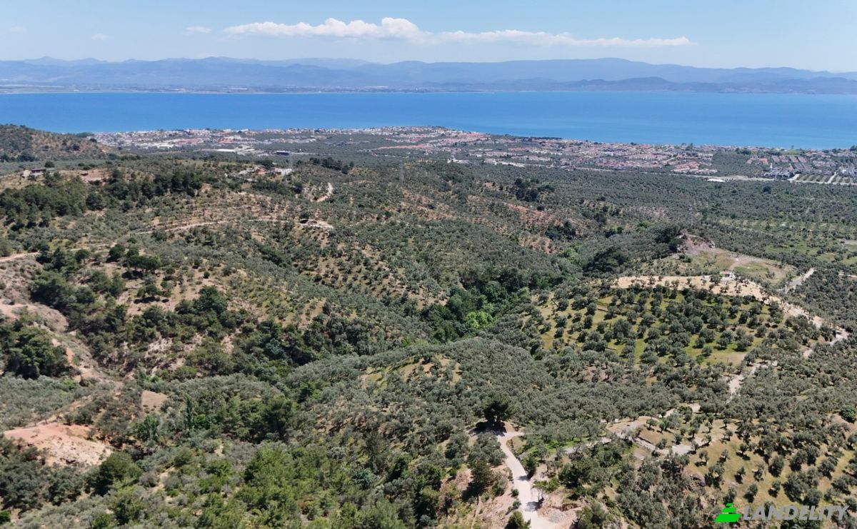 Investition/Entwicklung zu verkaufen Kavlaklar, Isimsiz Yol, 10395 Edremit Balikesir, Edremit Balikesir, Edremit, Balikesir, Turkiye. Foto 7
