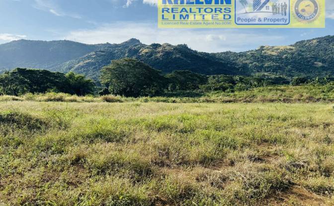 Land Lot for Sale Naboutini, Ba, Western Division. Photo#3