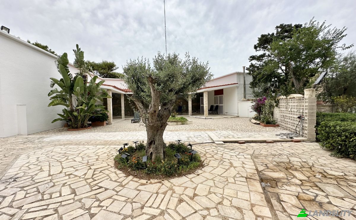 Apartment for Sale Via del Mare, 70042 Cozze BA, Cozze, Metropolitan City of Bari, Apulia, Italy. Photo 2
