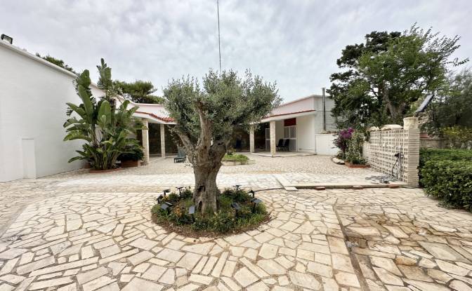 Apartment for Sale Via del Mare, 70042 Cozze BA. Photo#2 Apartment for Sale Via del Mare, 70042 Cozze BA. Photo#2