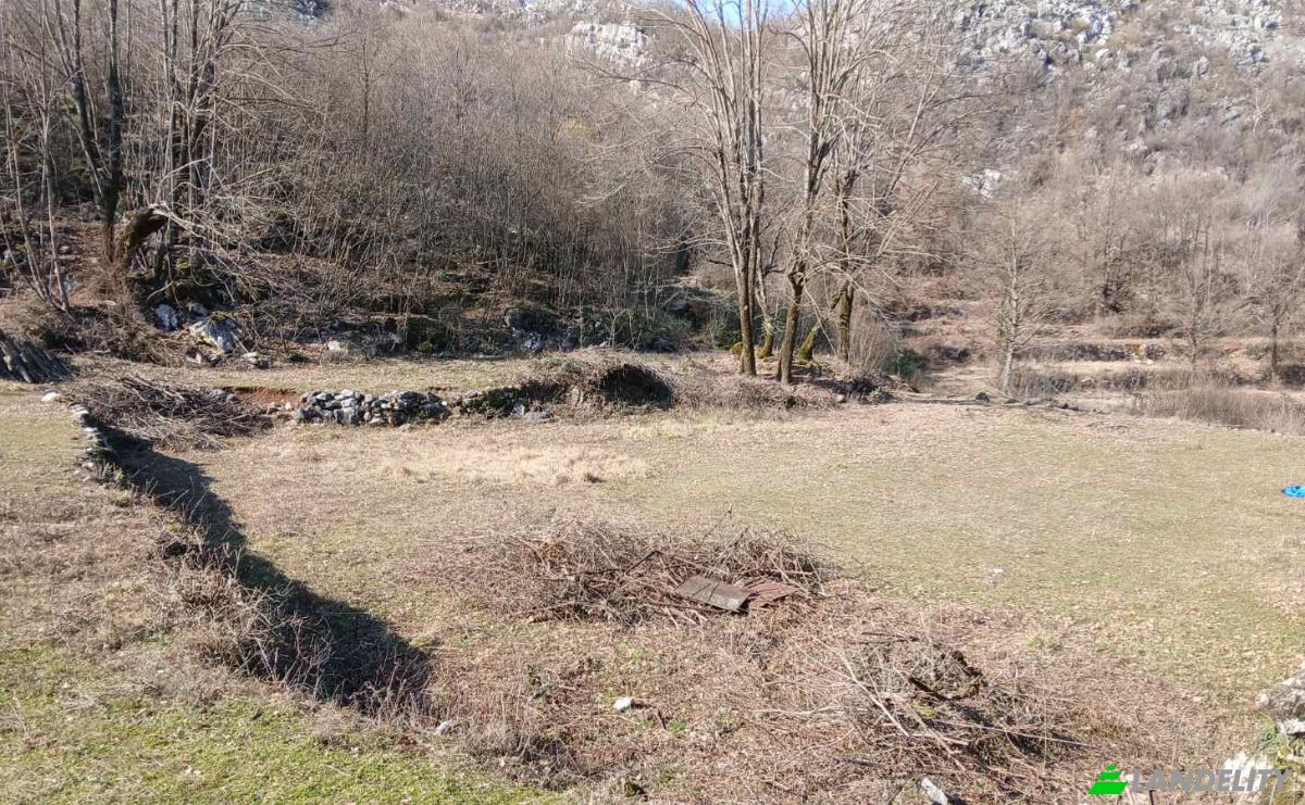 Investing/Development for Sale Neimenovani Put, Cesljari, Cetinje Municipality, Montenegro. Photo 1